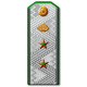 Погоны Генерал-директора 2-го ранга НКПС, обр. 1943 г.. 